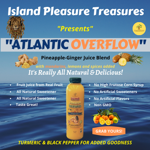 The Atlantic Overflow Pineapple Ginger Amazing Tropical Juice Blend 5 ⭐️
