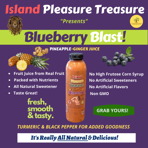 Amazing Blueberry Blast! Pineapple Ginger Juice 100%